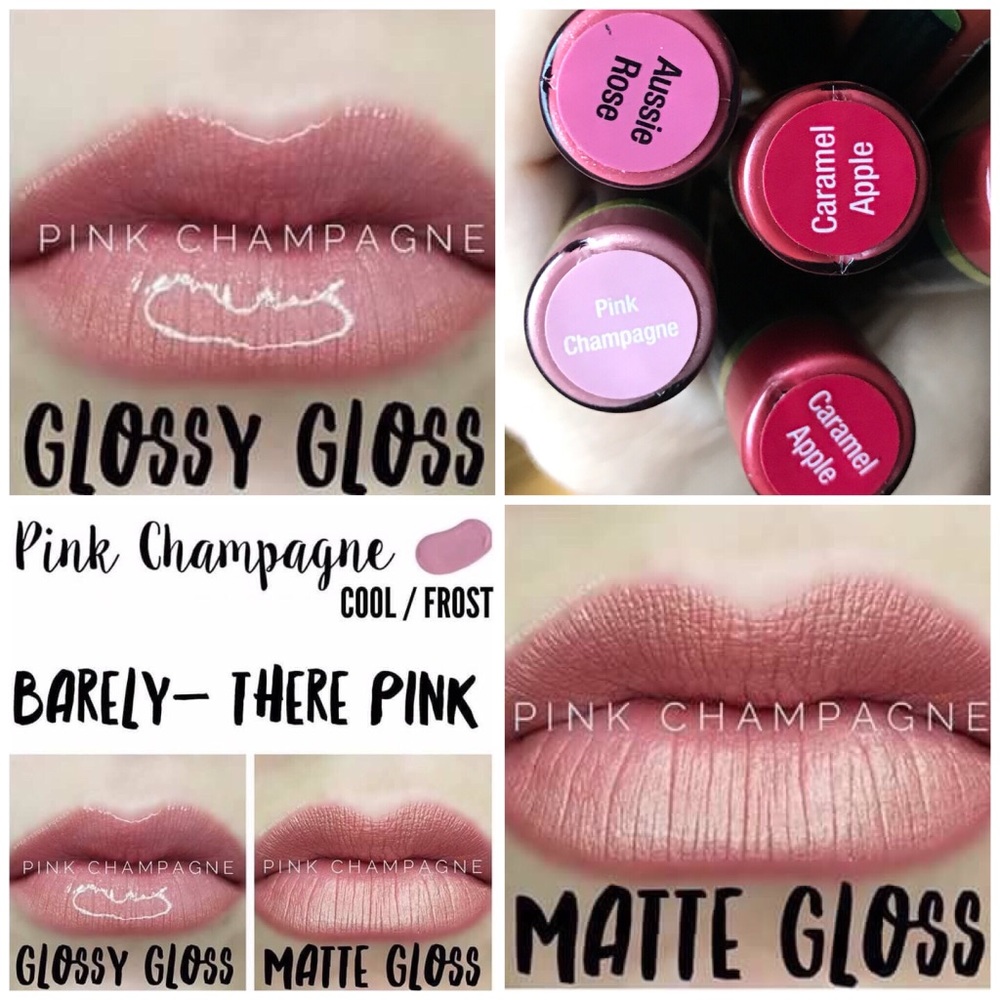 Pink Champagne ✖️FINAL PRICE✖️ LipSense